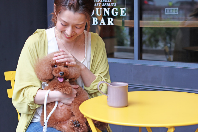 開放的なカフェのテラス席で愛犬と過ごす