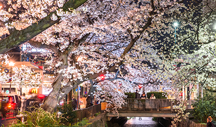 京都の観光名所・おすすめスポット（高瀬川）