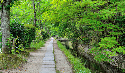 京都の観光名所・おすすめスポット（哲学の道）